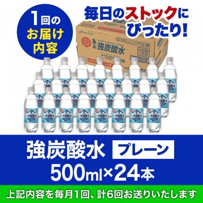 【全6回定期便】強炭酸水 プレーン 500ml × 24本  糸島市/スターナイン[ARM010]