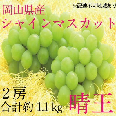 シャイン マスカット 晴王 2房(合計約1.1kg)岡山県産 [21B2002]