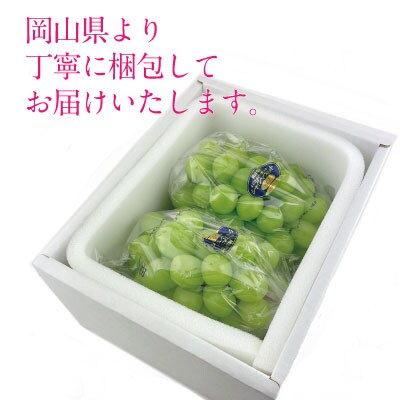 シャイン マスカット 晴王 2房(合計約1.1kg)岡山県産 [21B2002]