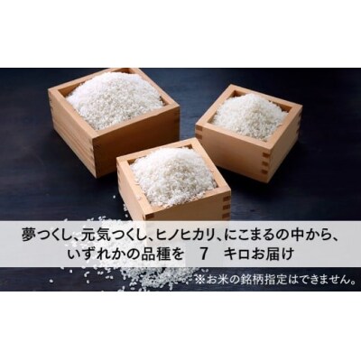 【新米】立花山で育てた九州のブランド米・7キロ.米.お米.コメ.おこめ.AF175