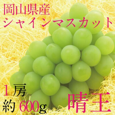 9月・10月発送 シャインマスカット 晴王 1房 約600g 岡山県産 [21B2006]