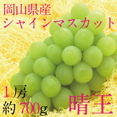 9月・10月発送 シャインマスカット 晴王 1房 約700g 岡山県産 [21B2007]