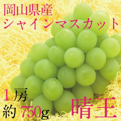 9月・10月発送 シャインマスカット 晴王 1房 約750g 岡山県産 [21B2008]