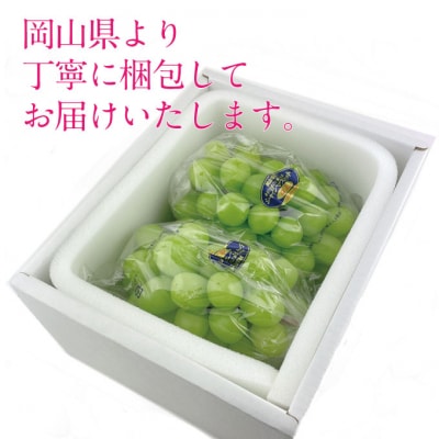 9・10月発送 シャイン マスカット晴王 2房(合計約1.3kg) 岡山県産 [21B2009]
