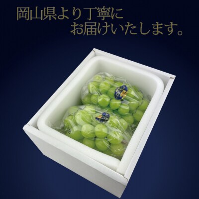9・10月発送 高級品 シャイン マスカット 晴王 2房 約1.2kg 岡山県産 [21B2014]