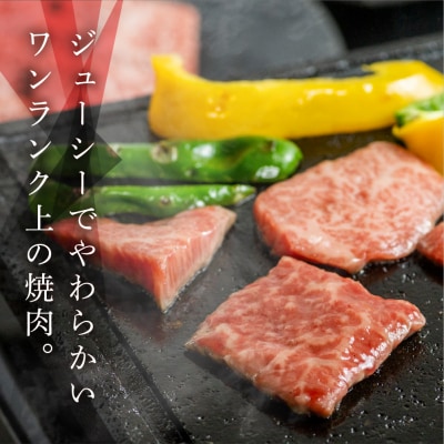 飛騨牛 赤身 ミックスカルビ焼肉セット 各520g【11-36】