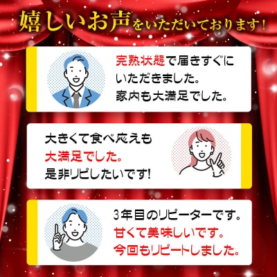 西都市特産品　宮崎県完熟マンゴー3L×2個　先行受付[3314]