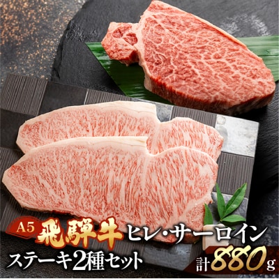 飛騨牛ヒレ約500g/サーロイン約380gステーキセット【11-53】