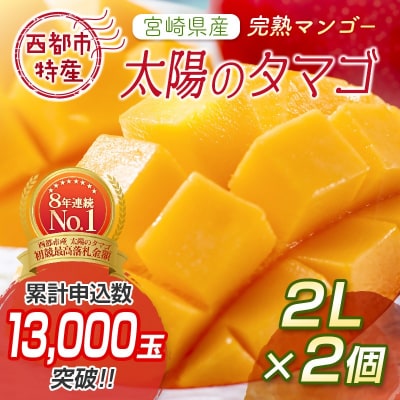 西都市特産品 太陽のタマゴ2L×2個  宮崎県産完熟マンゴー【先行受付】[1905]