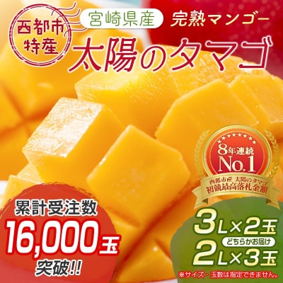 太陽のタマゴ2～3玉西都市特産品宮崎県産完熟マンゴー【先行受付】[2193]