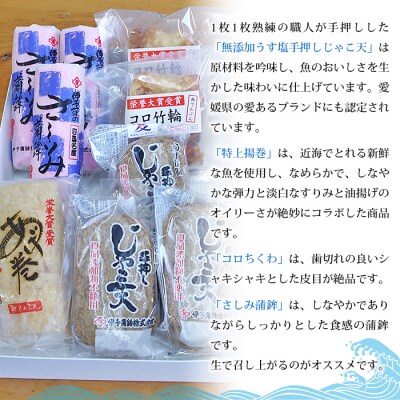 <伊予蒲鉾　特選蒲鉾詰合せセット>　かまぼこ　ちくわ　じゃこ天　天ぷら　魚介　郷土料理