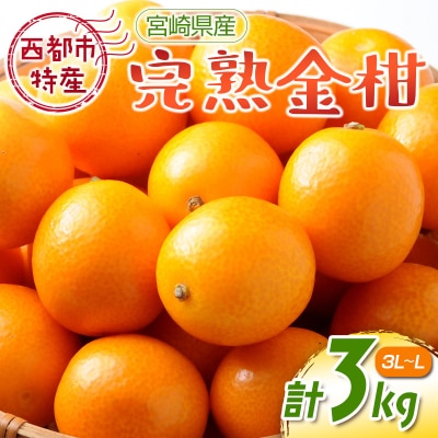 宮崎県西都市産完熟金柑　3kg(3L～L)西都市特産品【先行受付】[1924]