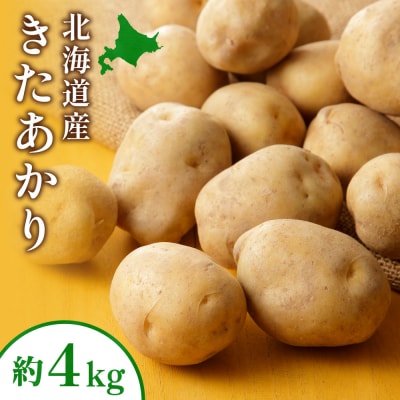 じゃがいも(きたあかり)約4kg_hs504-002