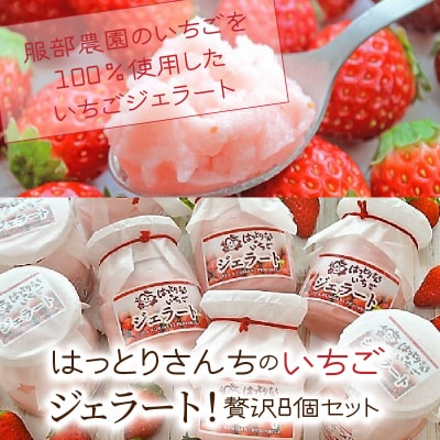 はっとりさんちのいちごジェラート!贅沢8個セット_0241N