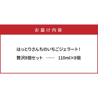 はっとりさんちのいちごジェラート!贅沢8個セット_0241N
