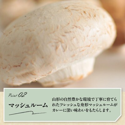 黒毛和牛 極旨 カレー 180g × 8食 ビーフカレー レトルト パウチ 国産 和牛 牛肉