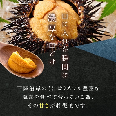 【無添加】三陸山田 生うに 【先行予約】100g×1パック 令和9年5月中旬以降発送 ウニ 雲丹