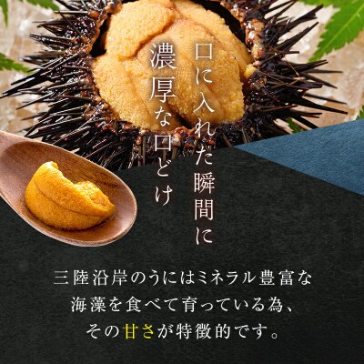 【無添加】三陸山田 生うに 【先行予約】100g×2パック 令和9年5月中旬以降発送 ウニ 雲丹 