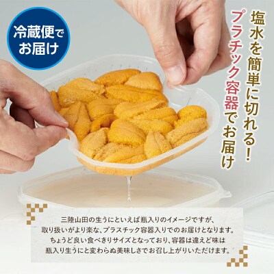 【無添加】三陸山田 生うに 【先行予約】100g×2パック 令和9年5月中旬以降発送 ウニ 雲丹 