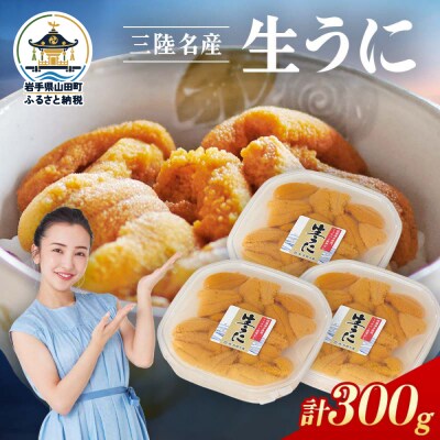 【無添加】三陸山田 生うに 【先行予約】100g×3パック 令和9年5月中旬以降発送 ウニ