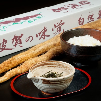 【令和8年産　先行受付】しそうの自然薯　K7