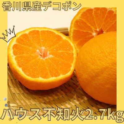 ハウス不知火(デコポン) 2.7kg【先行受付中!令和9年1月上旬頃より発送!】【A-115】
