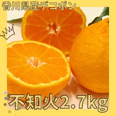 不知火(デコポン)2.7kg【先行受付中!令和9年3月上旬頃より発送!】【A-116】
