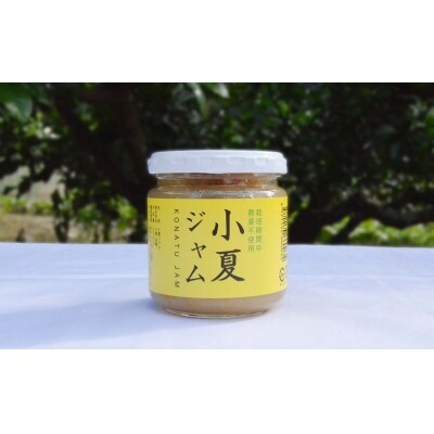 かんきつジャム6個セット