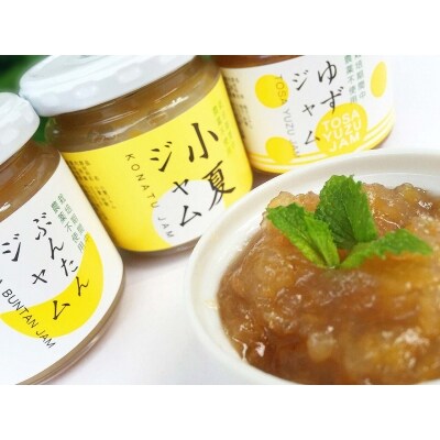 かんきつジャム　24個セット