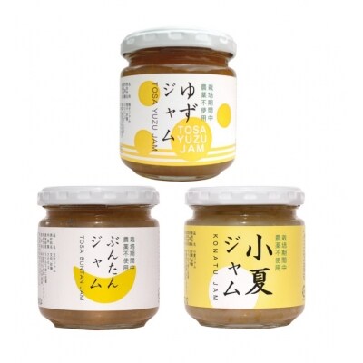 かんきつジャム　24個セット