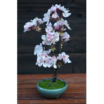 桜盆栽(造花)GF-007