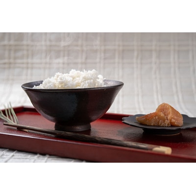 「おち米」定期便　(5kg × 6回)　産直　白米