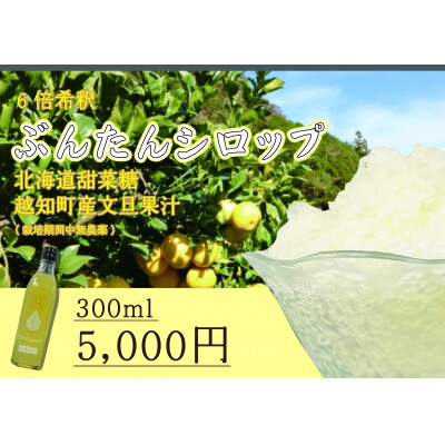 文旦シロップ(300ml)