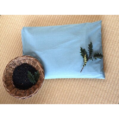 のうがえい枕(頭用)
