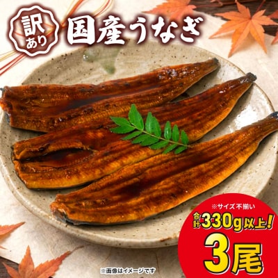 2026年9月発送【訳あり】 国産 うなぎ 蒲焼 3尾 330g以上 サイズ不揃い 鰻