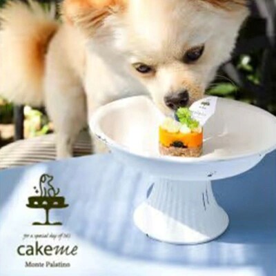 ペットフード(犬のおやつ)　かぼちゃとブルーベリーのタルト　5個入り