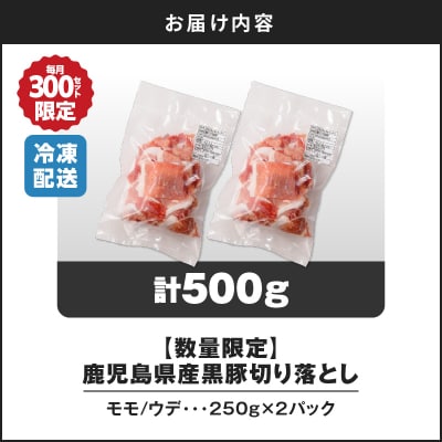  【14営業日以内に発送】【数量限定】鹿児島県産黒豚切り落とし500g　K025-001_01_cp