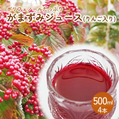 【2027年2月～発送】がまずみジュース(りんご入り)500ml×4本　0075-2617