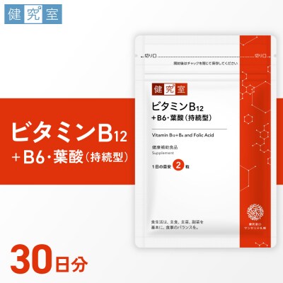 ビタミンB12+B6・葉酸(持続型)_hs456-030