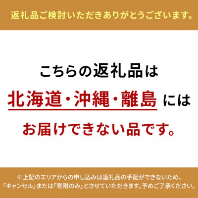 桃 2027年 先行予約 岡山白桃  6～8玉 約1.5kg 化粧箱入り [NO5765-1323]