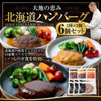 北海道産牛&阿寒ポーク使用 ハンバーグ 冷凍 真空パック 150g×6個セット F4F-8558