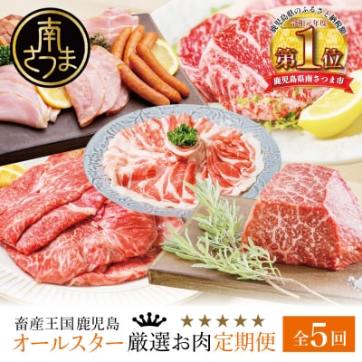 【定期便 全5回】オールスター厳選お肉定期便<お試し版>牛肉・豚肉・肉加工品