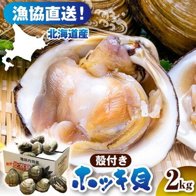 【数量限定】 獲れたて直送 ホッキ貝 約2kg