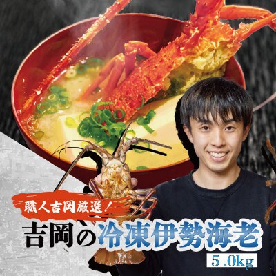 冷凍伊勢海老5kg(4～15尾)高知県須崎市