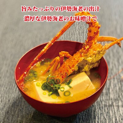 冷凍伊勢海老5kg(4～15尾)高知県須崎市
