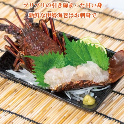 冷凍伊勢海老5kg(4～15尾)高知県須崎市