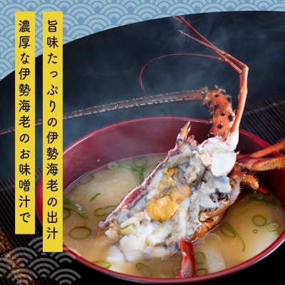 【 数量限定 】 訳あり 冷凍 伊勢海老 1～2匹 (400g～500g)