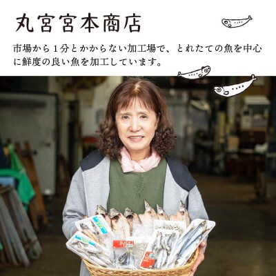 めひかり 干物 800g 高知県産 産地直送 アオメエソ