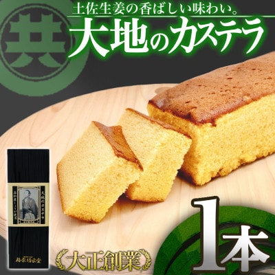 大地のカステラ 1本