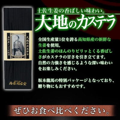 大地のカステラ 1本